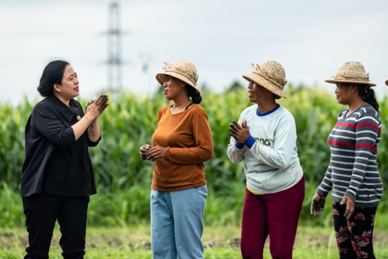 Puan Tanam Padi Bareng Petani Di Provinsi Bali