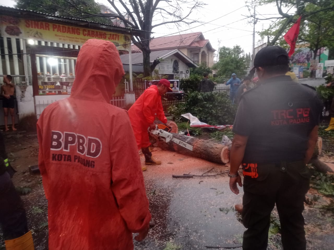 Cuaca Buruk Kembali Sebabkan Pohon Tumbang Di Kota Padang