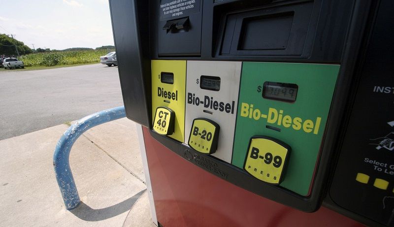 Biodiesel B-100, Inovasi Kementerian Pertanian untuk Alternatif Bahan Bakar Masa Depan