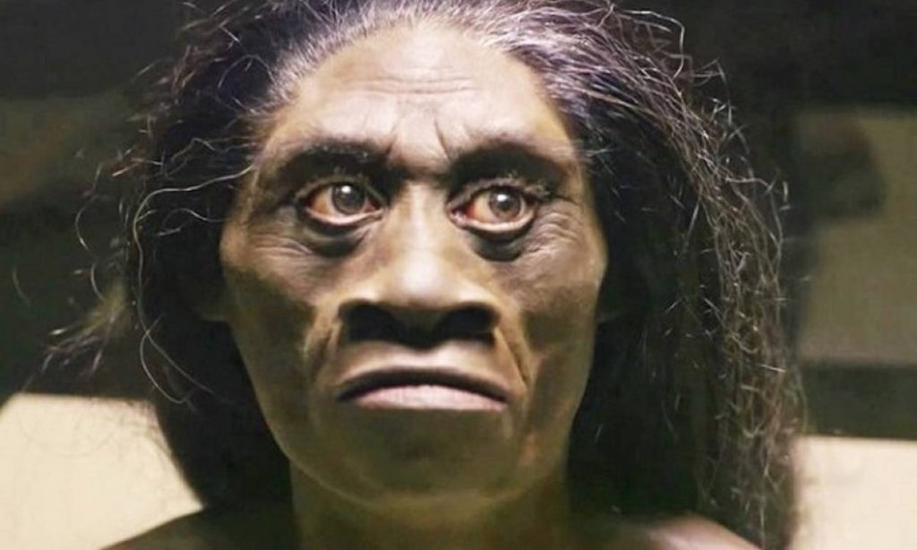 Manusia purba yang ditemukan di indonesia