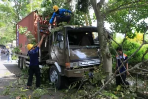 Foto: Truk Pembawa Beras Bansos Tabrak Pohon