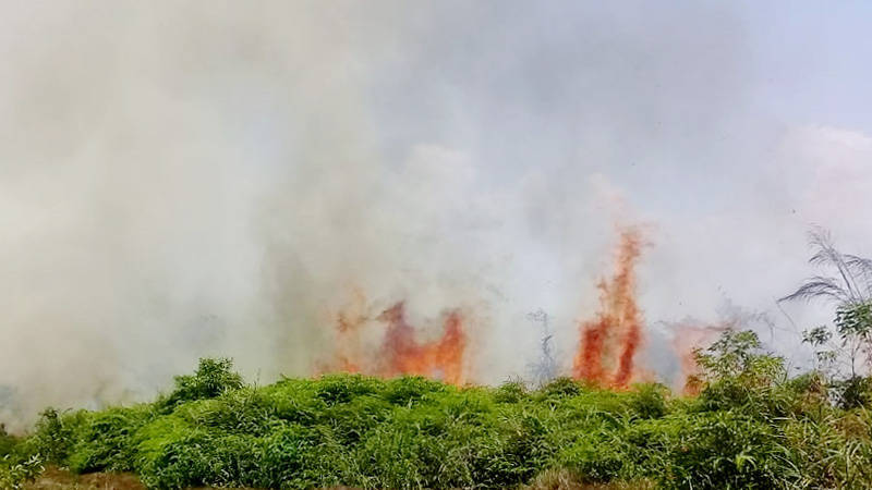 Berita Sumbar hari ini: Kebakaran hutan dan lahan di Sumatra Barat (Sumbar) telah mencapai 25 hektare, tersebar di sejumlah daerah.