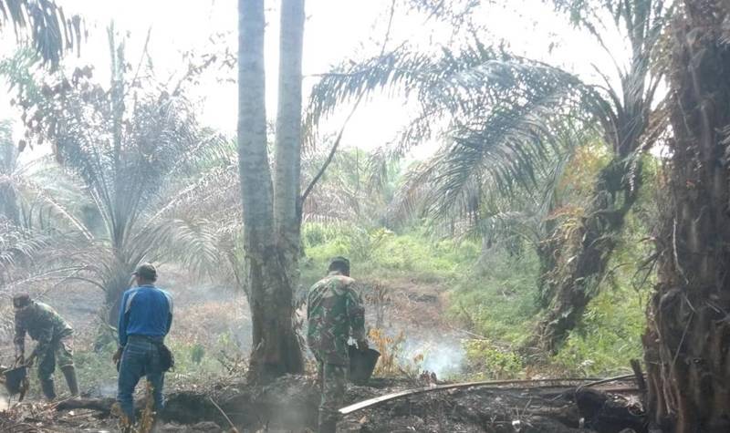 Berita Pasaman Barat hari ini dan berita Sumbar hari ini: 1,5 hektar lahan gambut di perkebunan kelapa sawit Plasma Batang Alin Permai, Kabupaten Pasaman Barat terbakar
