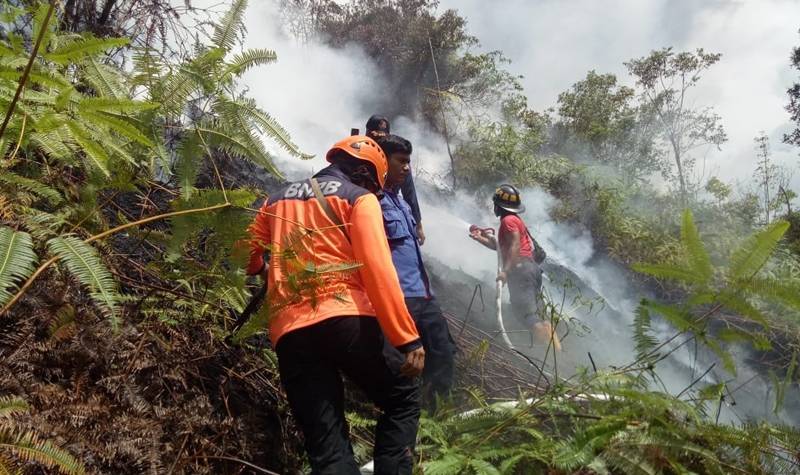 Berita Limapuluh Kota hari ini dan berita Sumbar hari ini: Kbakaran hutan lindung di Ngalau Seribu Harau di Jorong Harau merambat ke lahan karet warga