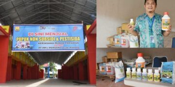 Berita Pariaman hari ini dan berita Sumbar hari ini: Selain pestisida dan herbisida, saat ini juga tersedia 1 ton pupuk urea produksi PUSRI 