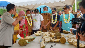 Festival Durian di Solsel, Gubernur Minta Ditentukan Nama Durian Unggul yang Khas