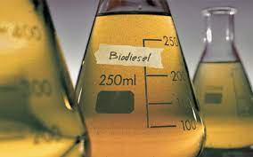 Berbahan Baku Sawit, Harga Bahan Bakar Nabati Biodiesel Ditetapkan Rp14.436 per Liter 