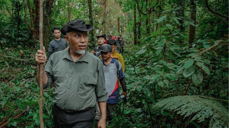 Demi Bangun Jalan Alternatif Malalak - Maninjau, Gubernur Mahyeldi Jalan Kaki Tembus Hutan hingga 11 Km