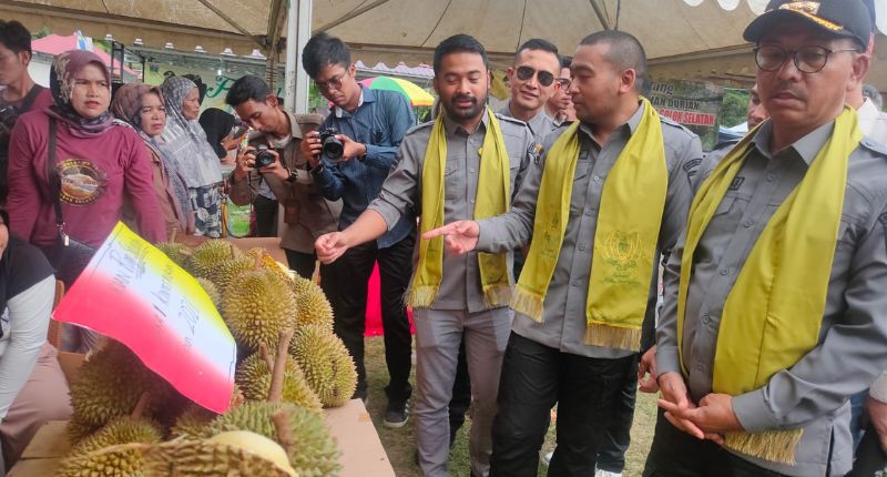 5 Ribu Durian Ludes dalam Festival Durian 2022 di Solok Selatan
