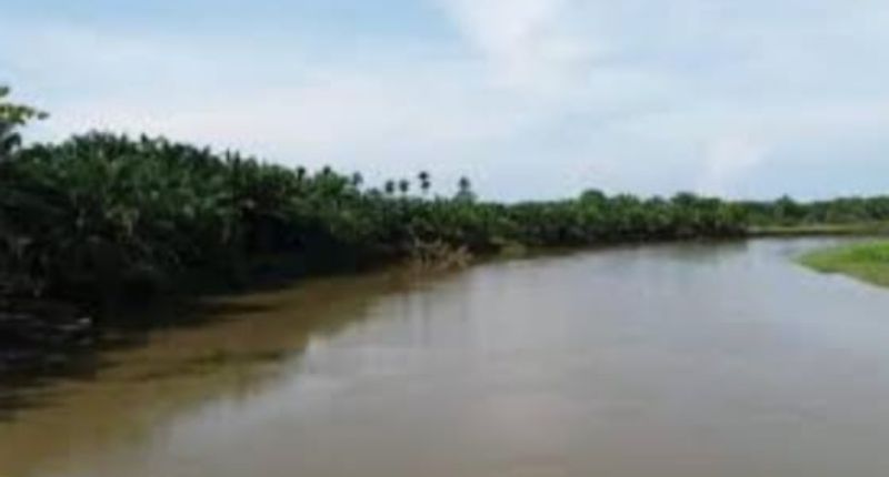 PT Incasi Raya Digugat soal Izin Alih Fungsi Lahan dan Kebun Sawit di Daerah Aliran Sungai
