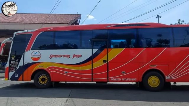 Bus Terbaru Akhirnya Datang..? Sang Legend of Sumatra Gumarang Siap Kembalikan Masa Jaya!!!
