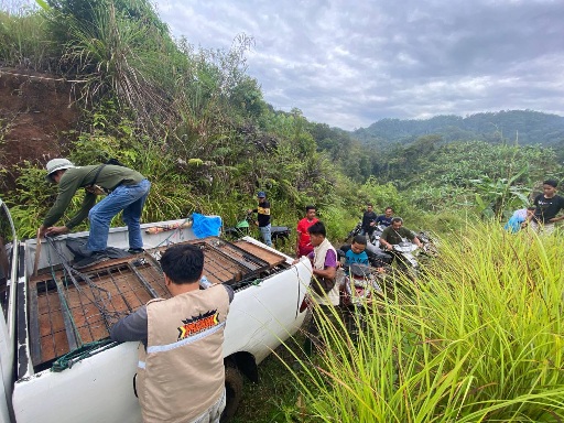 BKSDA Sumbar Pasang Perangkap untuk Evakuasi Harimau Sumatra yang Masuk Pemukiman di Palupuah Agam