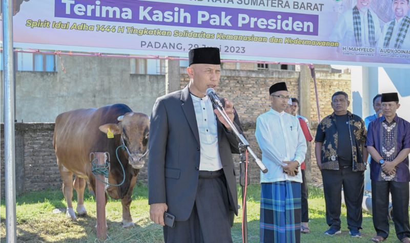 Sapi Kurban Presiden Jokowi dan Sapi Gubernur Mahyeldi Disembelih di Masjid Raya Sumbar