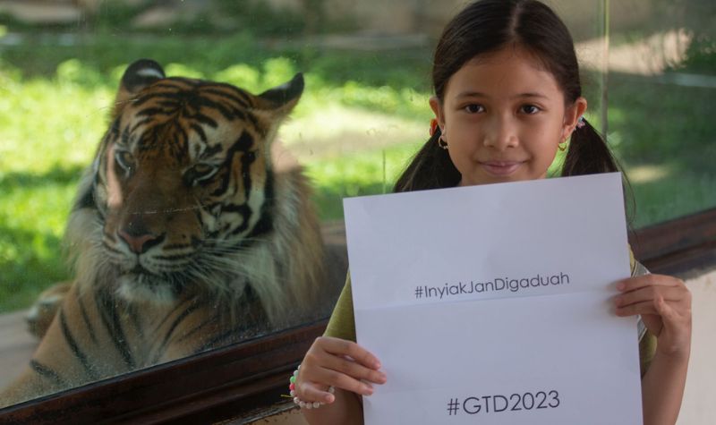Hari Harimau Sedunia 2023, Momentum Penyadartahuan Pentingnya Menjaga Harimau Sumatera