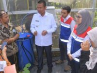 Petani Kampung Apar Pariaman Kini Pakai Aplikasi Smart Farming Budi Daya Melon
