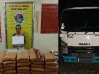 Makin Berani dan Nekat, Ganja 45 kg Diangkut Pakai Isuzu Menuju Pulau Jawa