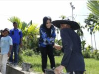 Rezka Oktoberia Datangkan Excavator untuk Melancarkan Aliran Air Sungai Batang Aia Silegawen