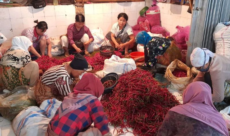 Harga Cabai Merah di Sumbar Melonjak Tajam, Pemerintah segera Intervensi Pasar