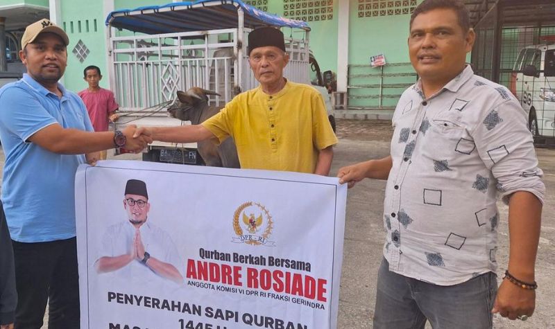 Sebar 73 Ekor Sapi Kurban, Warga Sumbar: Terima Kasih Pak Andre Rosiade