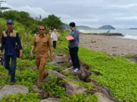 Pembangunan Jalur Pantai Jalan Teluk Bayur – Bandara Internasional Minangkabau Dilanjutkan