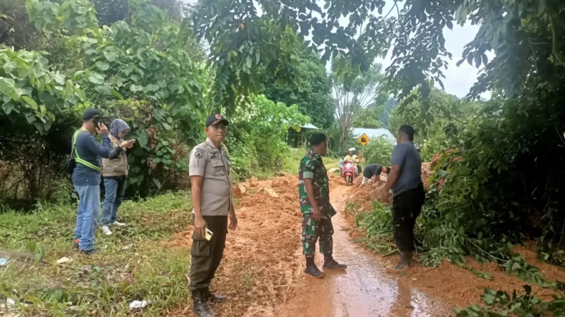 Pohon Tumbang dan Longsor Ganggu Akses Jalan di Pantai Air Manis